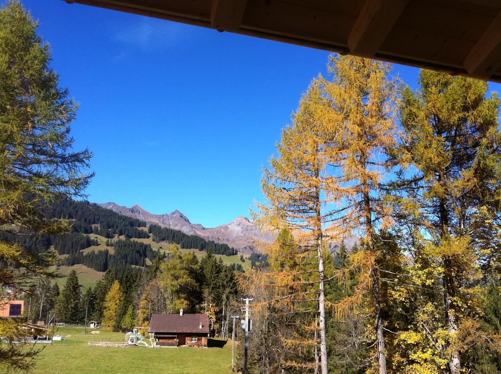 Bunderbach Adelboden Exterior foto